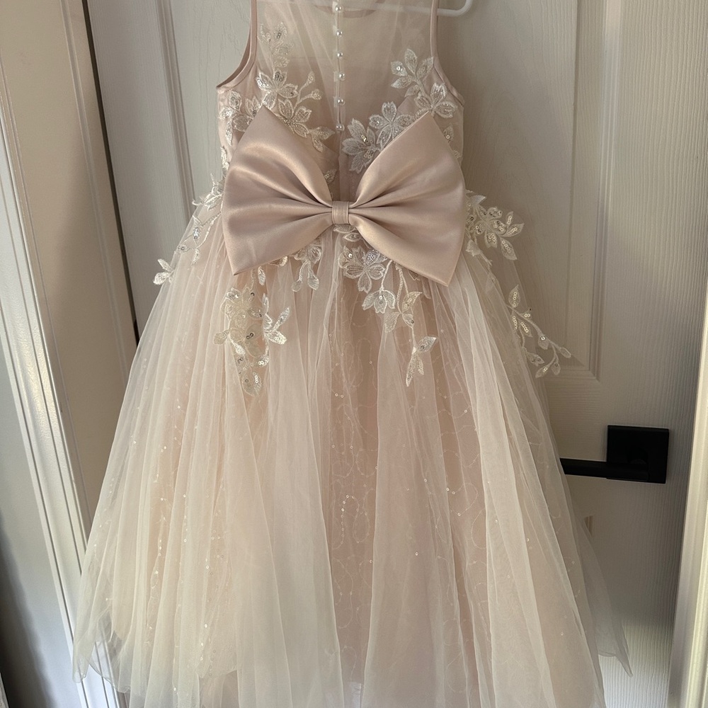 Anthropologie Princess Daliana Sparkle Appliqué Flower Girl Dress / blush